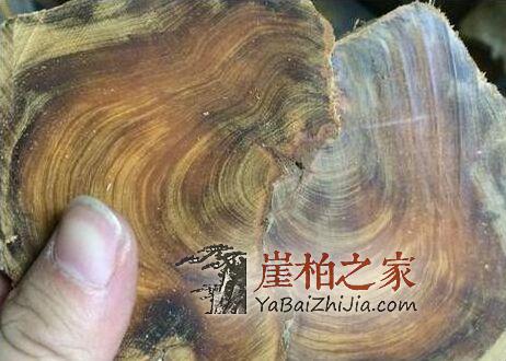 用黑油料做崖柏手串,油性和香味都是一绝!-2