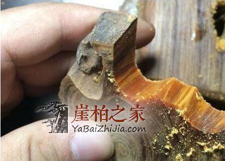 用黑油料做崖柏手串,油性和香味都是一绝!-4
