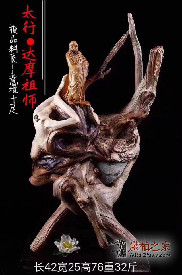崖柏或成资源性奢侈品,我们要如何应对?-1