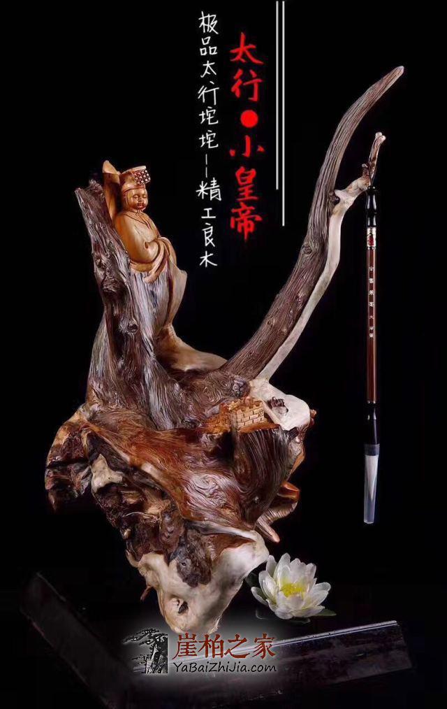 崖柏或成资源性奢侈品,我们要如何应对?-4