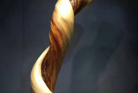 崖柏天然根艺《龙卷风》正宗太行坨坨料360度自然旋转