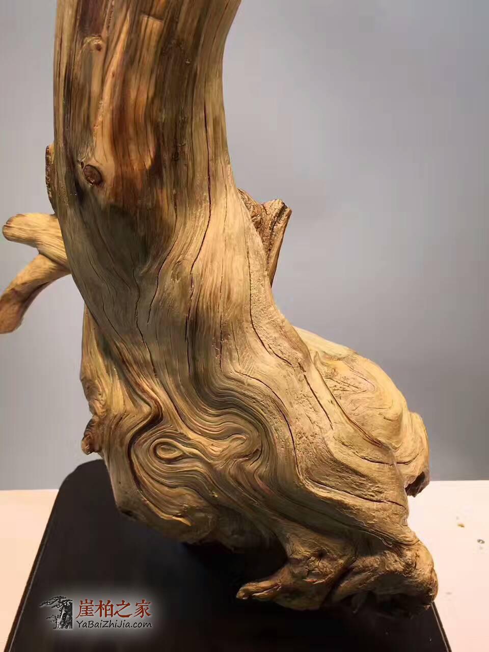 崖柏随形根艺《达摩》太行陈化眼睛纹-8