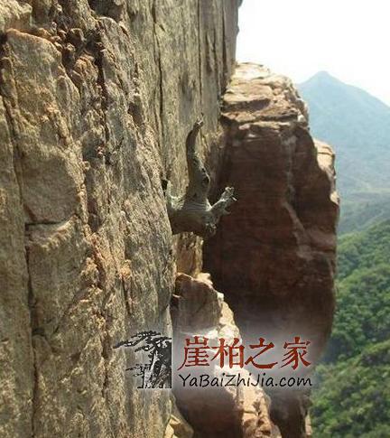 你——用生命凝结成一个符号,我——读你千遍仍觉不可思议……-3