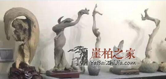 崖柏“毛料”要如何挑选?-1