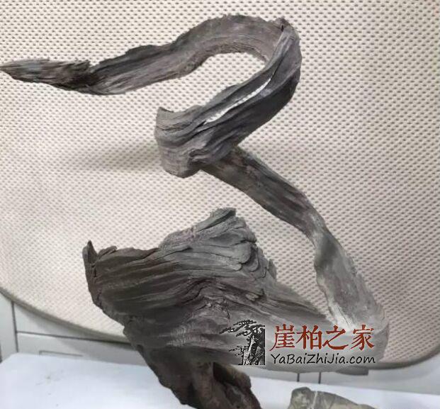 崖柏“毛料”要如何挑选?-4