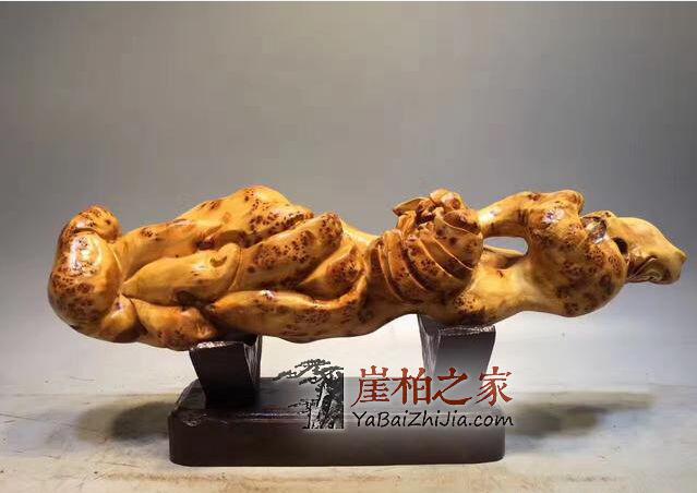 崖柏怎样才算完整,你知道吗?-6