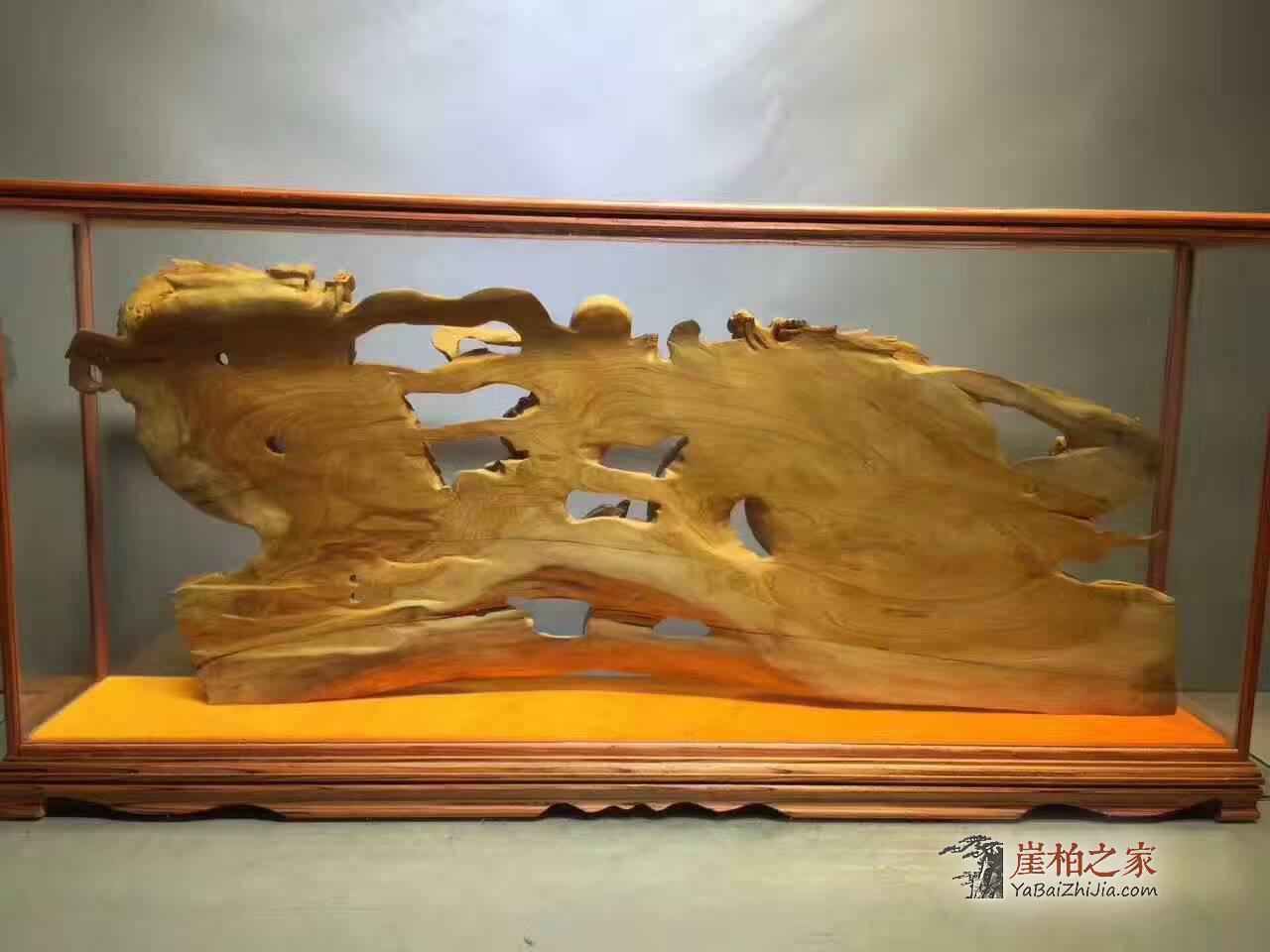 崖柏根雕《双龙戏珠》整体无拼接油性奶香味十足-7