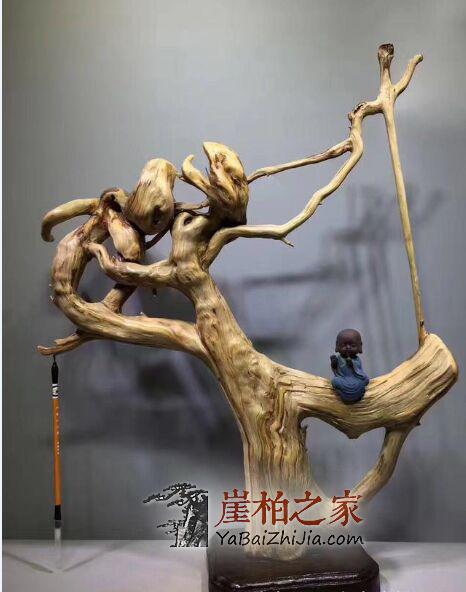 崖柏打磨也要选料子?因为料质不同,打磨效果也不同!-5