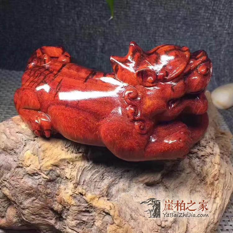 印度小叶紫檀《戏球招财貔貅》桌面小摆件，手把件！-4