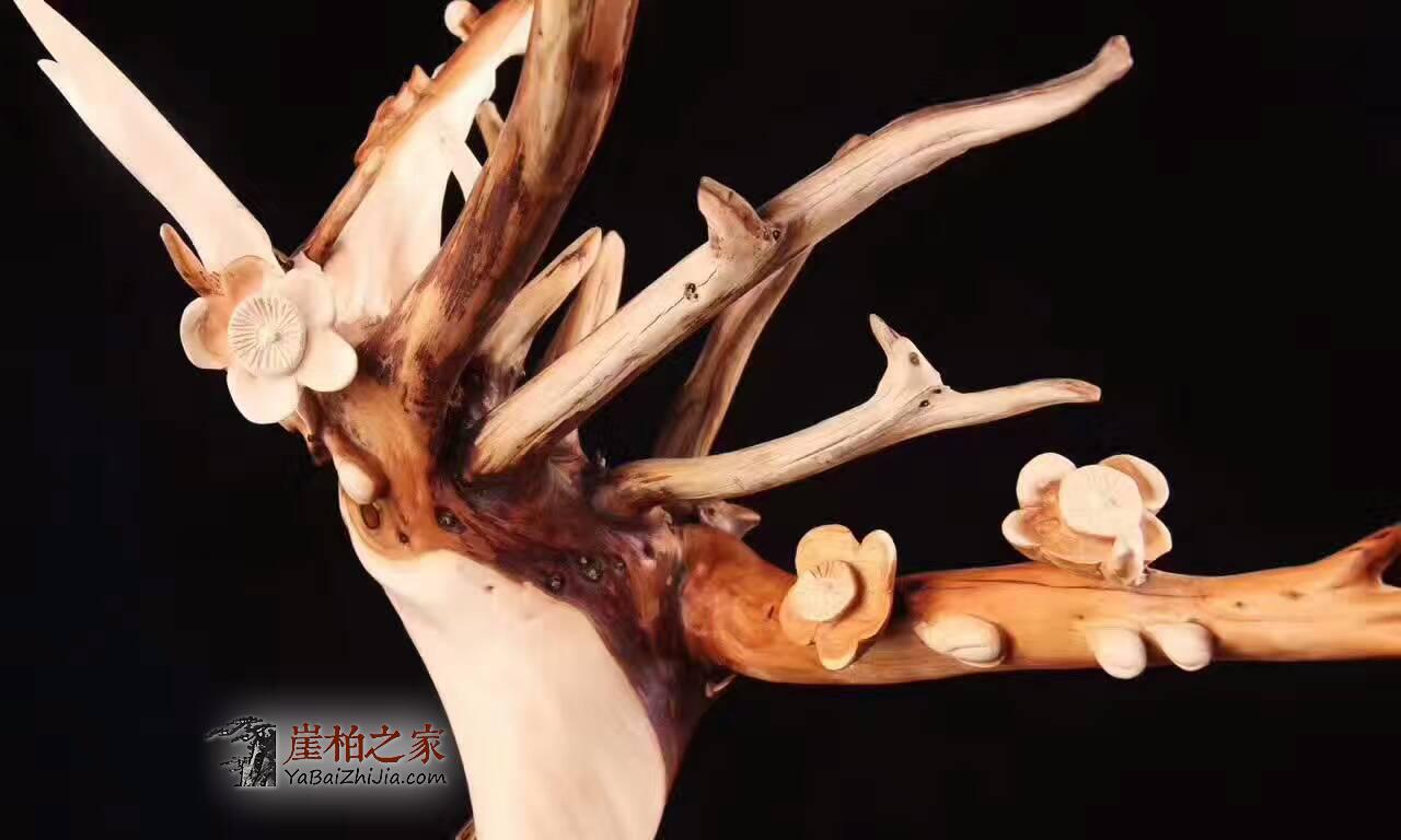 崖柏根艺《梅花》太行高级陈化双色旋转料打造-6