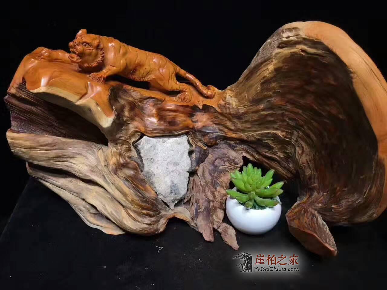 崖柏抱石工艺品《王者归来》可做小型摆件-7