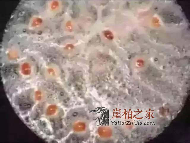 你心爱的的黑油陈化崖柏珠可能是“泡”制而成的！-2