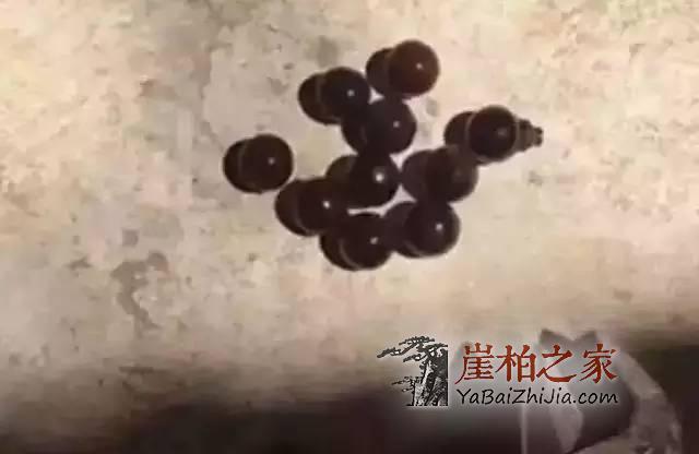 你心爱的的黑油陈化崖柏珠可能是“泡”制而成的!-4