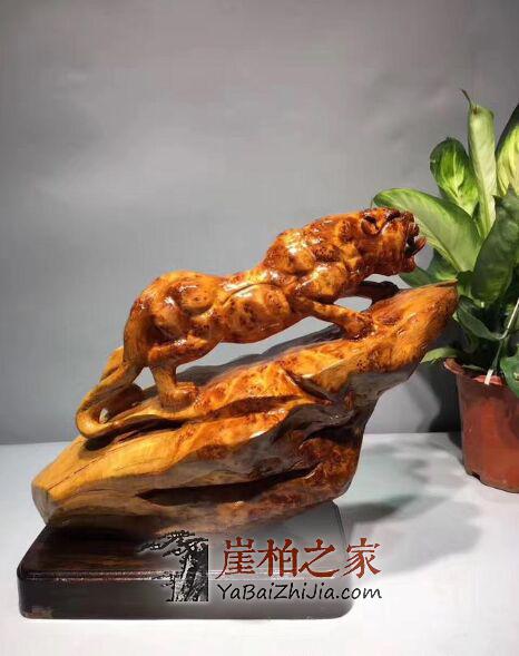 从柏农到收藏,论崖柏角色的转换!-2