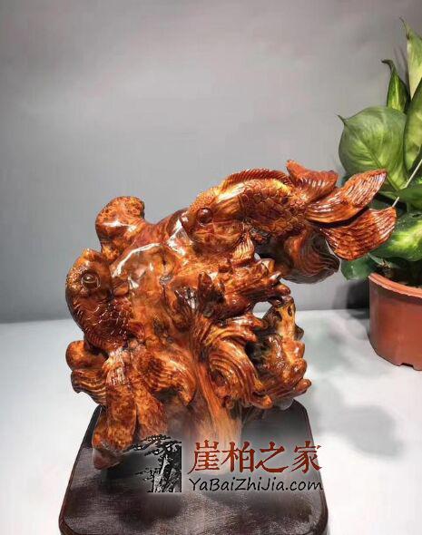从柏农到收藏,论崖柏角色的转换!-5