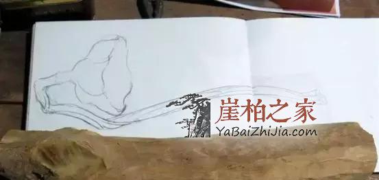 手把手教你如何让崖柏变莲花!-4