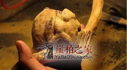 手把手教你如何让崖柏变莲花!-7