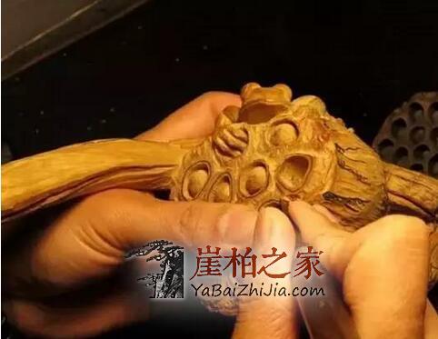 手把手教你如何让崖柏变莲花!-9
