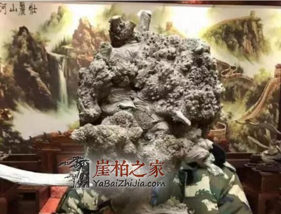 崖柏好料为什么总是一料难求?崖柏瘤子的王者——“瘿子瘤”-1