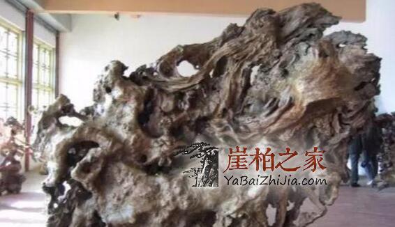 崖柏好料为什么总是一料难求?崖柏瘤子的王者——“瘿子瘤”-3
