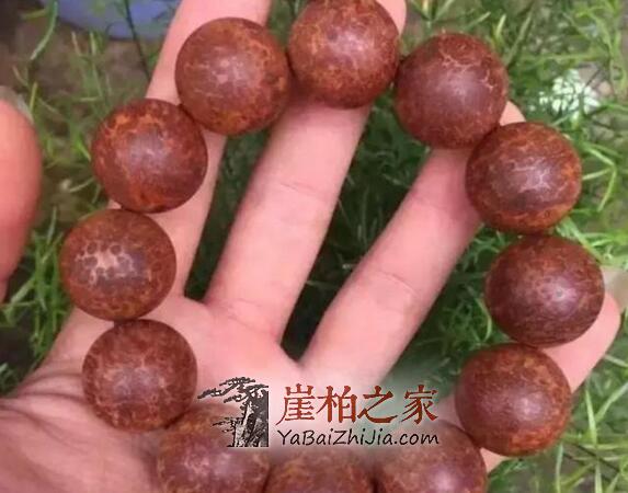 崖柏好料为什么总是一料难求?崖柏瘤子的王者——“瘿子瘤”-5