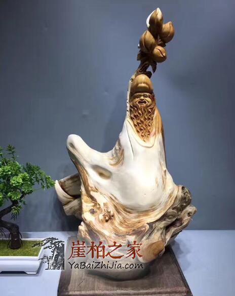 购崖柏风险大,这样做才能降低“吃药”几率!-5