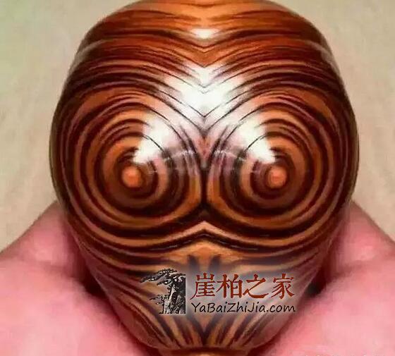 崖柏若带“眼”,价值就不能同日而语了!-1