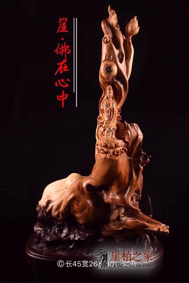 崖柏千年不死,死后千年又来迷惑人间-1