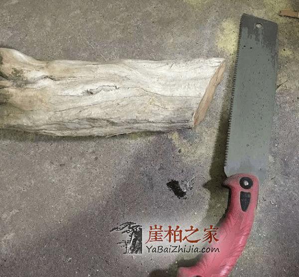 用崖柏做成文玩核桃,大神真牛!-1