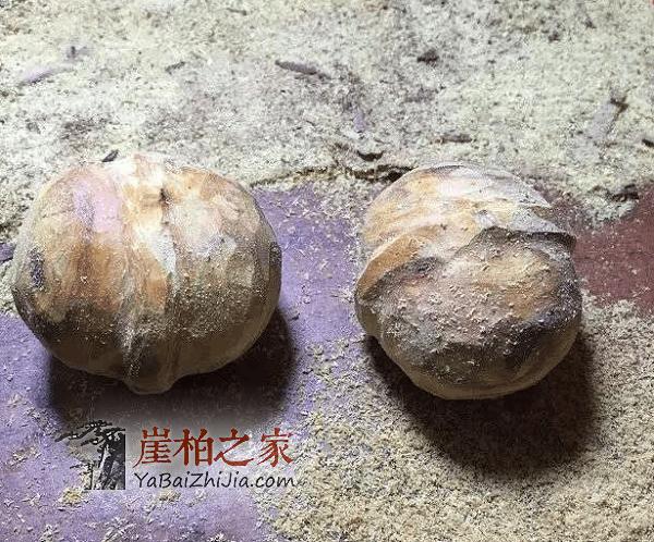 用崖柏做成文玩核桃,大神真牛!-2