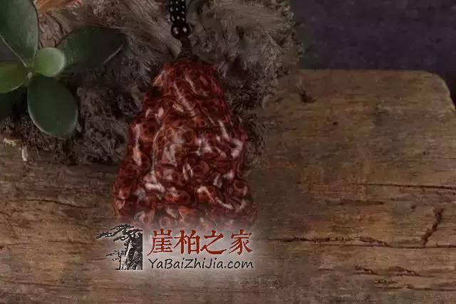 崖柏江湖“人人大咖”,“崖柏界”相煎何太急?-2