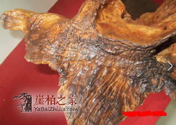 崖柏雷击木手串,你听说过吗?-2