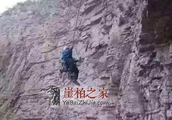 崖柏都是山民用“命”换来的,且玩且珍惜!-5