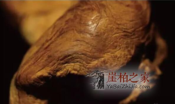 崖柏常识:崖柏的坡料与崖料-3
