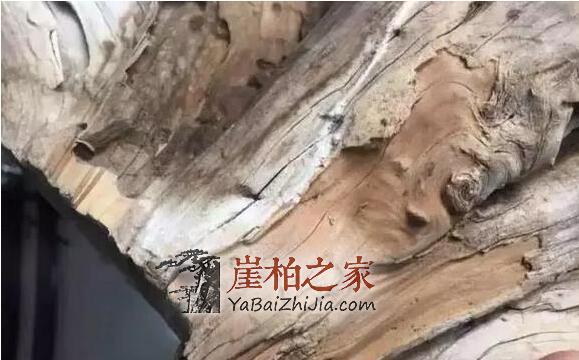 如何辨别崖柏料子的好坏,“表皮”见分晓!-4