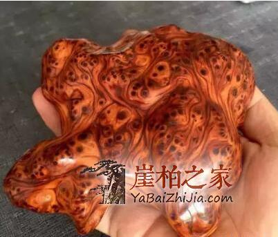 崖柏造假又出新花样,扒一下不良商家的黑手段!-1