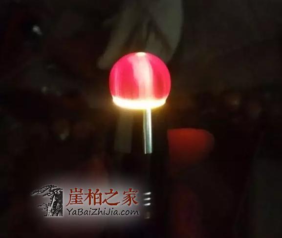 揭秘崖柏透光的原因!-1
