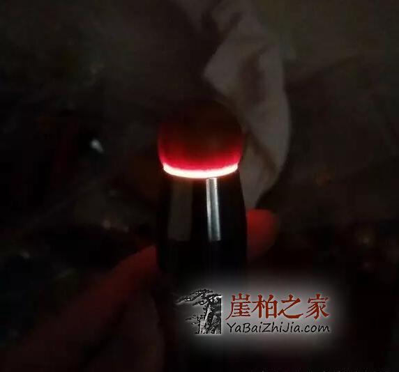 揭秘崖柏透光的原因!-3