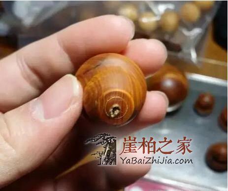 揭秘崖柏透光的原因!-4