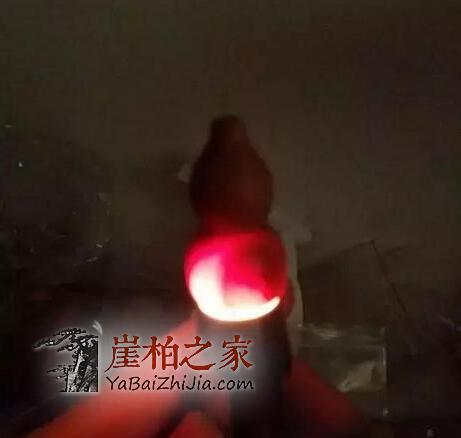 揭秘崖柏透光的原因!-5