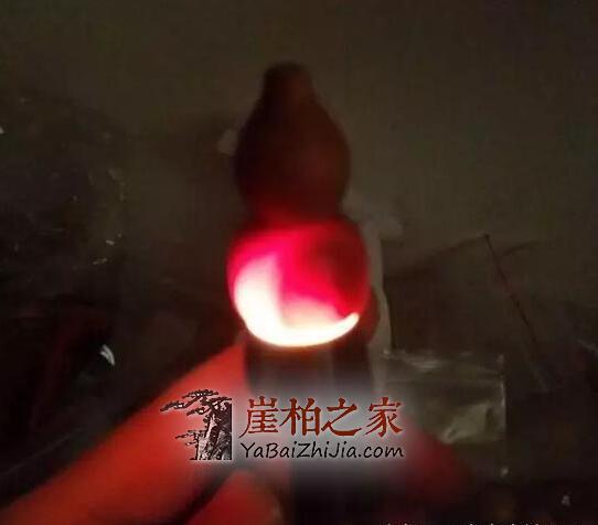 揭秘崖柏透光的原因!-9