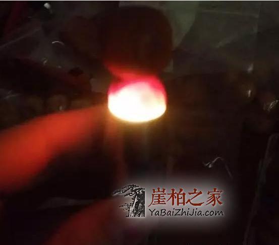 揭秘崖柏透光的原因!-11