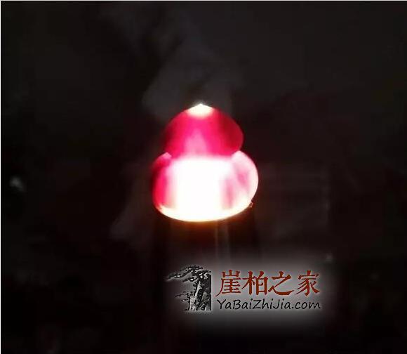 揭秘崖柏透光的原因!-12