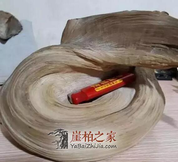 教你崖柏开裂修复小技巧!赶紧get起来-3