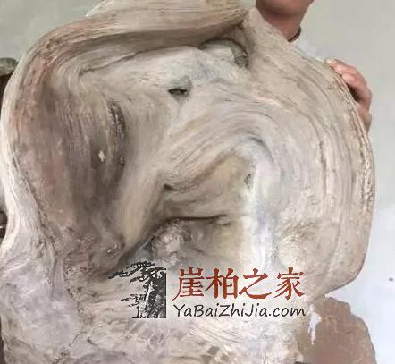 教你崖柏开裂修复小技巧!赶紧get起来-6