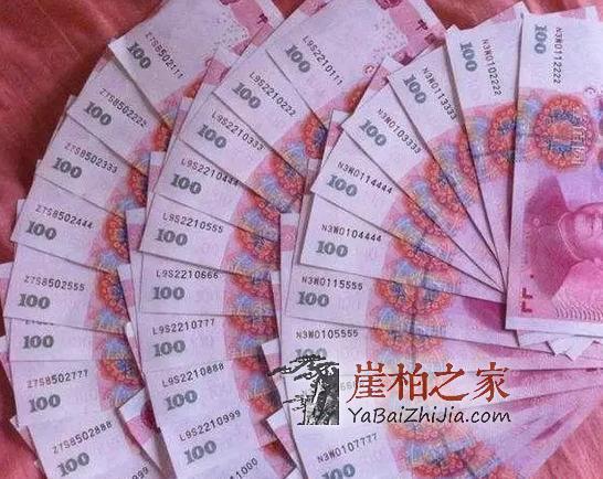 哪几种人不适合玩崖柏?-4