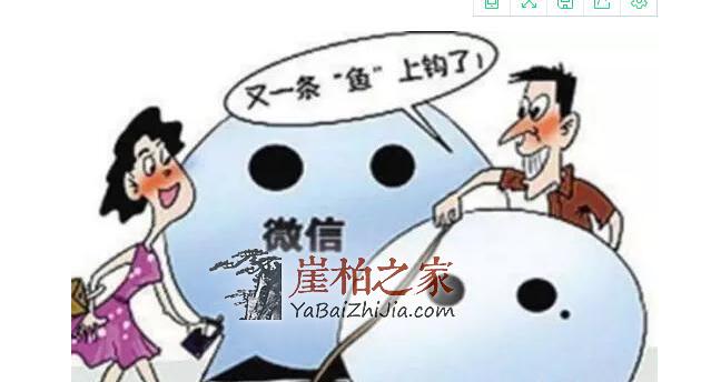 盘点一下购买崖柏时,遇到的“托”有哪几种情况-2