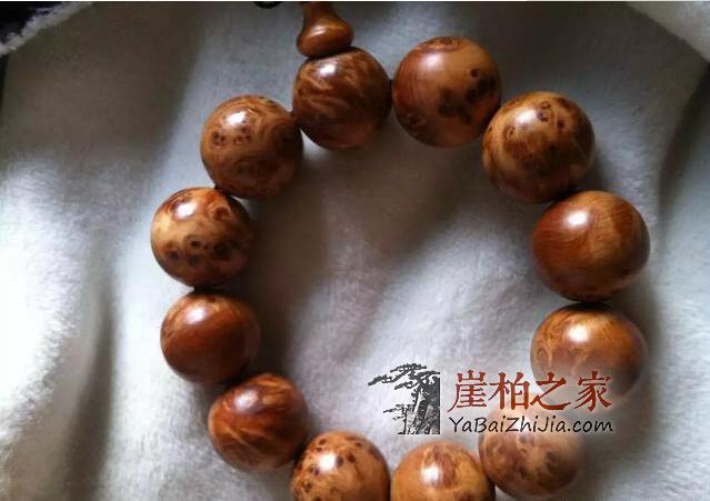 崖柏保养8大禁忌!你中招了吗?-3