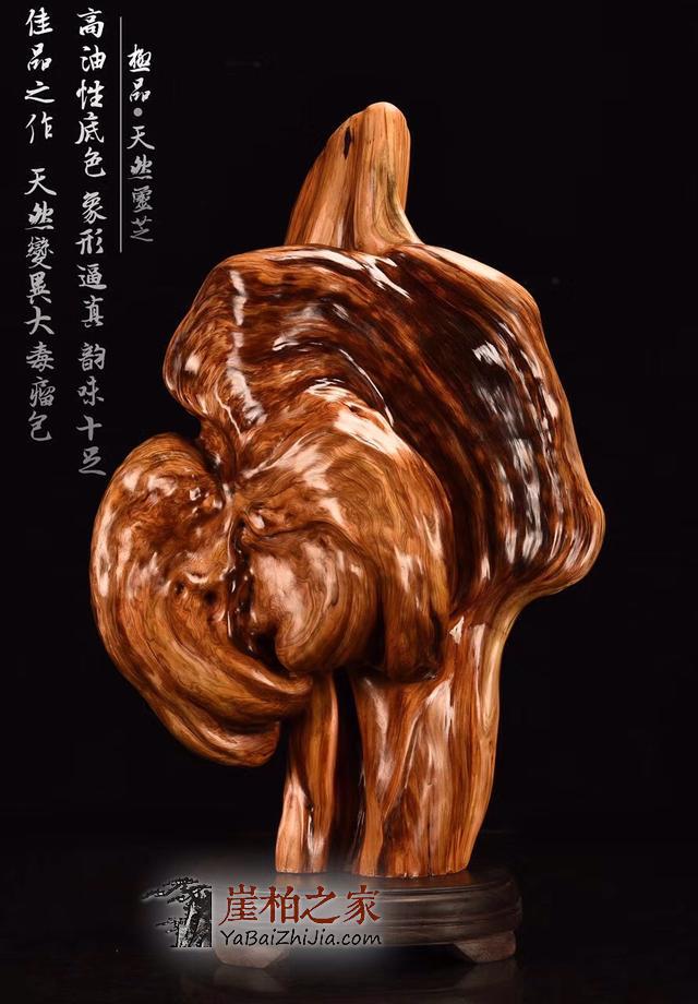 如何挑选崖柏根雕,手把件?有图有真相-11