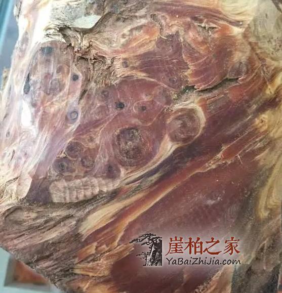 直击崖柏老料开料现场,油性十足的崖柏珠子新鲜出炉!-1